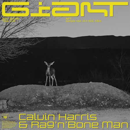 دانلود آهنگ جدید Calvin Harris Giant